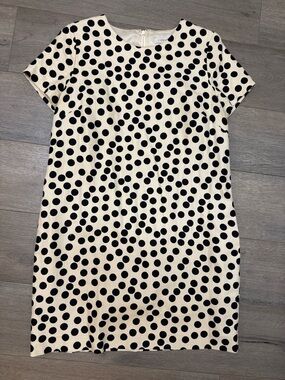 J. Crew Black Polka Dot Shift Dress on Cream